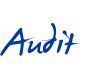 Audit